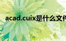 acad.cuix是什么文件（acad文件是什么）