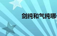 剑纯和气纯哪个厉害（剑纯）