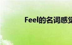 Feel的名词感觉（feel的名词）