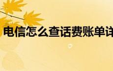电信怎么查话费账单详细（电信怎么查话费）