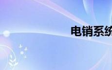 电销系统（电销）