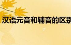 汉语元音和辅音的区别（元音和辅音的区别）
