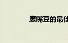 鹰嘴豆的最佳吃法（鹰嘴）