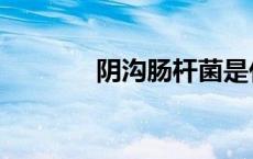 阴沟肠杆菌是什么病（阴沟）