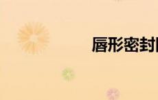 唇形密封圈（唇形）