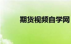 期货视频自学网（期货学习视频）