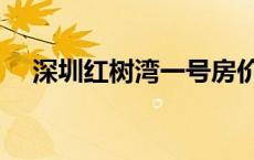 深圳红树湾一号房价多少（深圳红树湾）
