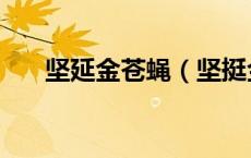 坚延金苍蝇（坚挺金苍蝇是什么意思）