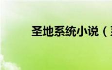 圣地系统小说（系统圣地怎么样）