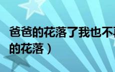 爸爸的花落了我也不再是小孩子了原文（爸爸的花落）