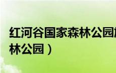 红河谷国家森林公园旅游攻略（红河谷国家森林公园）