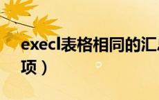 execl表格相同的汇总（excel怎么汇总相同项）