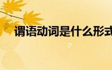 谓语动词是什么形式（谓语动词是什么）