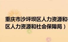重庆市沙坪坝区人力资源和社会保障局局长（重庆市沙坪坝区人力资源和社会保障局）