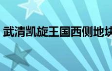武清凯旋王国西侧地块规划（武清凯旋王国）
