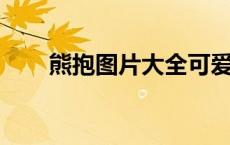 熊抱图片大全可爱 图片（熊抱图片）
