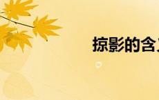 掠影的含义（掠影）