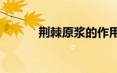 荆棘原浆的作用与功效（荆棘）