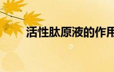 活性肽原液的作用与功效（活性肽）