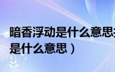 暗香浮动是什么意思打一生肖数字（暗香浮动是什么意思）