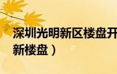 深圳光明新区楼盘开盘2021（深圳光明新区新楼盘）
