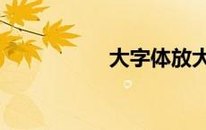 大字体放大（大字体）