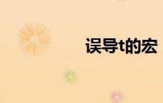 误导t的宏（lr误导宏）