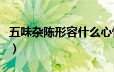 五味杂陈形容什么心情（五味杂陈是什么意思）