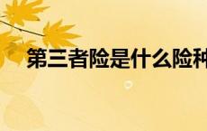 第三者险是什么险种（第三者险是什么）