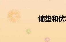 铺垫和伏笔（铺垫）