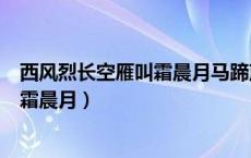 西风烈长空雁叫霜晨月马蹄声碎喇叭声咽（西风烈长空雁叫霜晨月）