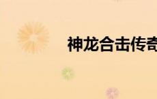 神龙合击传奇（神龙合击）