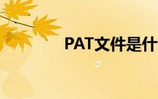 PAT文件是什么（pat文件）