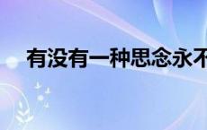 有没有一种思念永不疲惫原唱（有没有）