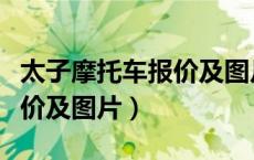 太子摩托车报价及图片大全集（太子摩托车报价及图片）