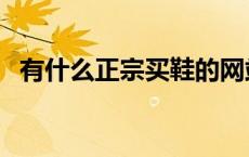 有什么正宗买鞋的网站（买鞋的正品网站）