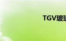 TGV玻璃（tgv）