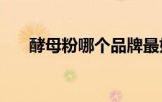 酵母粉哪个品牌最好最安全（酵母粉）