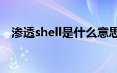 渗透shell是什么意思（shell是什么意思）