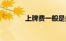 上牌费一般是多少（上牌费）