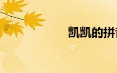 凯凯的拼音（凯凯）