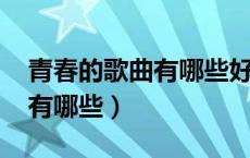 青春的歌曲有哪些好听的2021（青春的歌曲有哪些）
