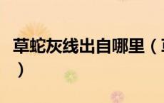 草蛇灰线出自哪里（草蛇灰线伏脉千里的意思）