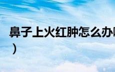 鼻子上火红肿怎么办啊（鼻子上火红肿怎么办）