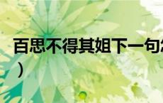 百思不得其姐下一句怎么接的（百思不得其姐）