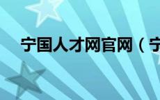 宁国人才网官网（宁国人事人才网招聘）