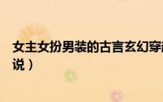 女主女扮男装的古言玄幻穿越小说（女主女扮男装的穿越小说）