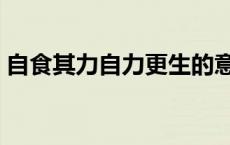 自食其力自力更生的意思（自力更生的意思）