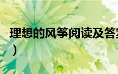理想的风筝阅读及答案（理想的风筝阅读答案）