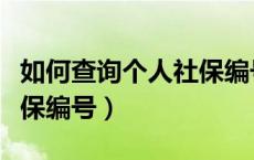 如何查询个人社保编号密码（如何查询个人社保编号）